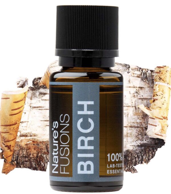 BIRCH - BETULA LENTA (15 ML) - Image 2